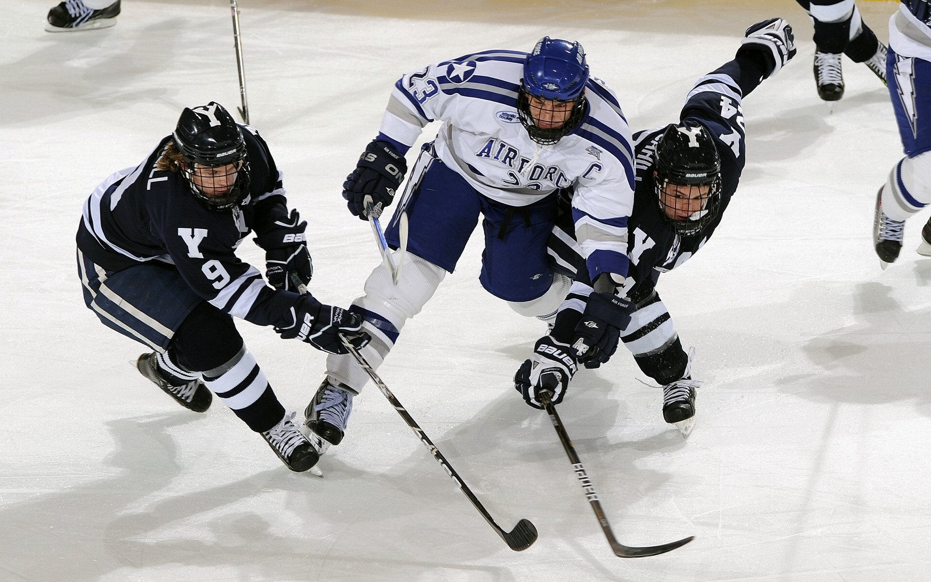 Leyu Sport登录入口-哈兰德禁区内的终结效率令对手后卫担忧,哈兰德fm