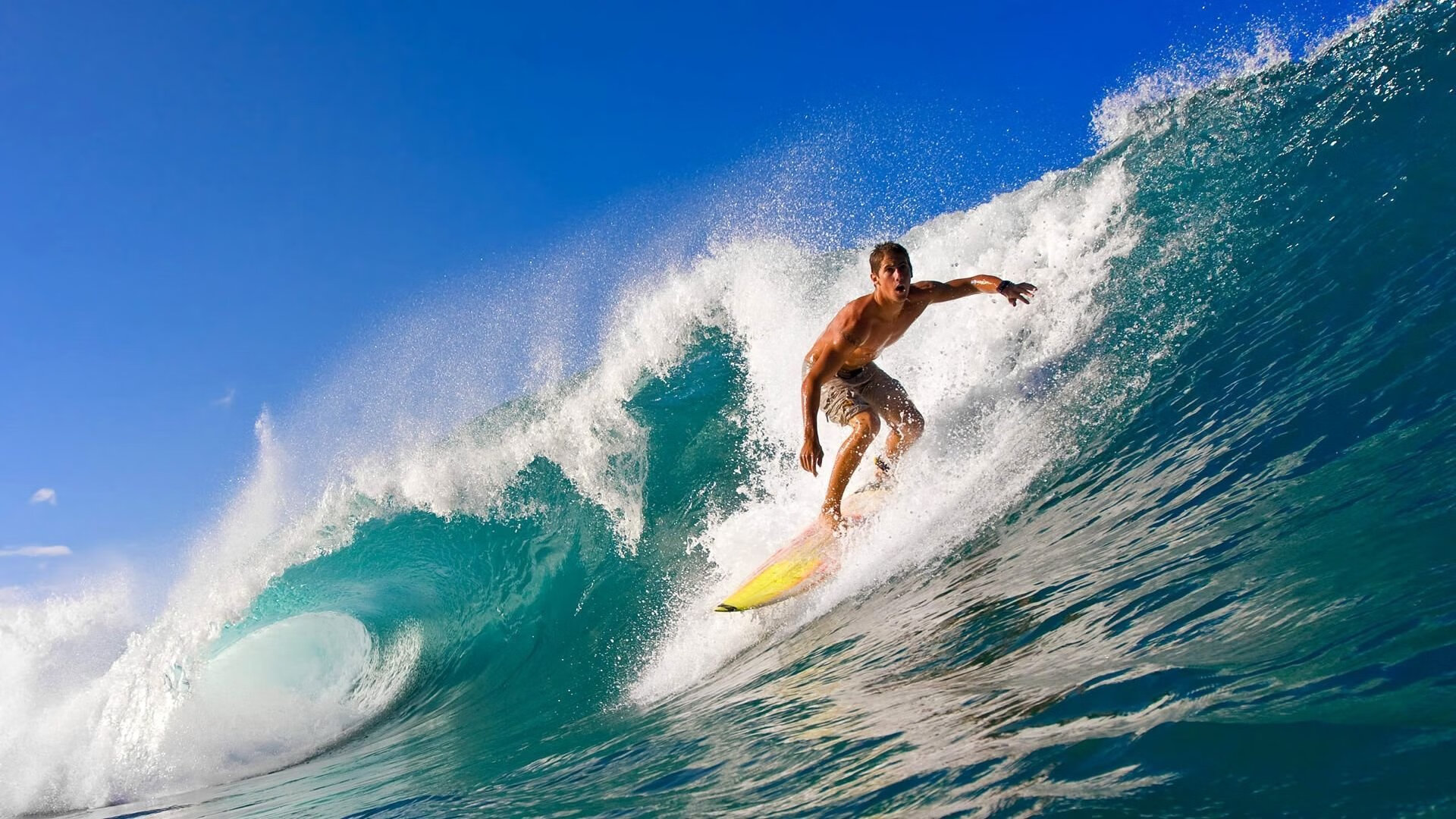 乐鱼体育平台登录-新西兰橄榄球队击败强敌，夺得年度冠军，新西兰橄榄球第一人